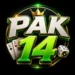 pak14-game